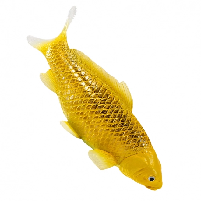 Mojo karper koi Matsuba