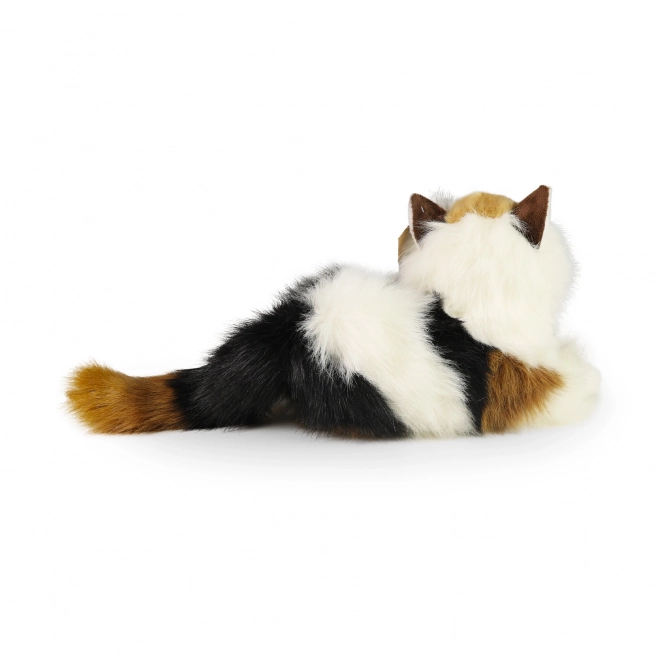 Pluche kat drie kleuren 30 cm ECO-VRIENDELIJK