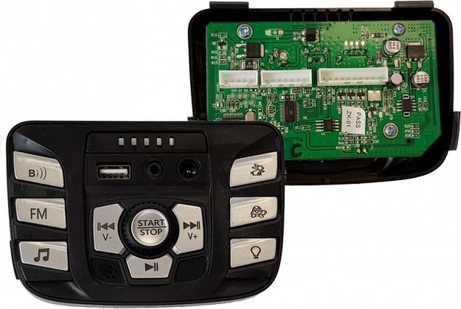 Music Panel for Battery-Powered Vehicle