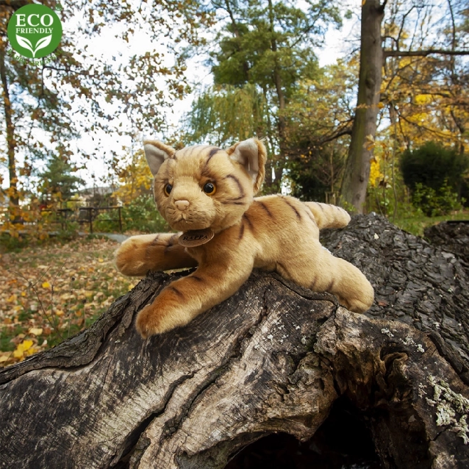Eco-friendly Plush Cat Toy 30 cm