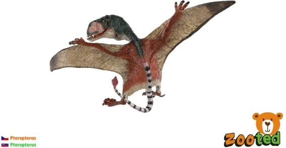 Model of a Flying Pterosaur