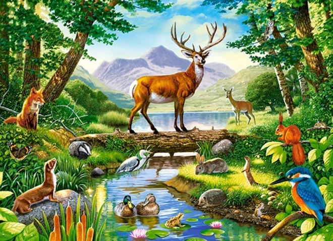 Puzzel bos harmonie 300 stukjes