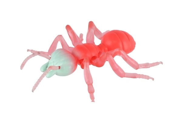 Anti-stress Ant