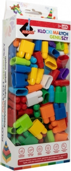 Little Geniuses Blocks - Bricks