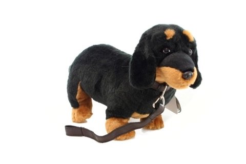 Plush Dachshund 36 cm with Leash
