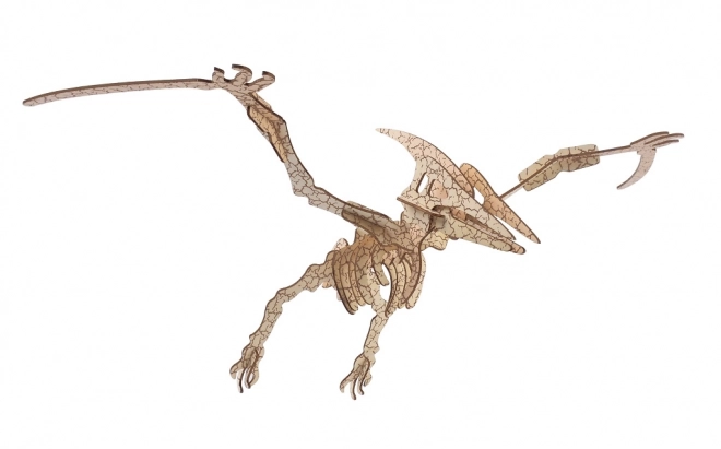 Woodcraft Houten 3D puzzel Pterosaur