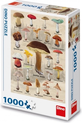 Dino Puzzle Mushrooms Collage 1000 Pieces