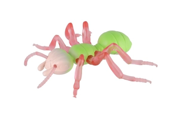 Anti-stress Ant