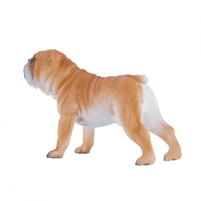 Mojo Engelse Bulldog