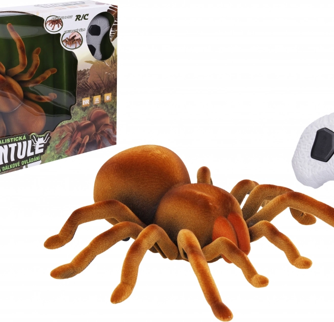 Tarantule télécommandée 24 cm