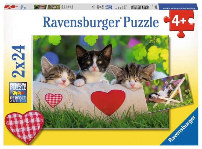 Puzzel 2x24 Kittens