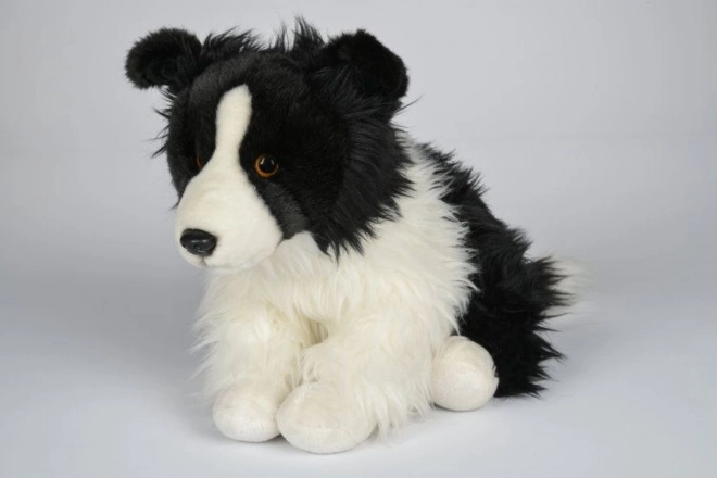 Pluchen Border Collie 35 cm