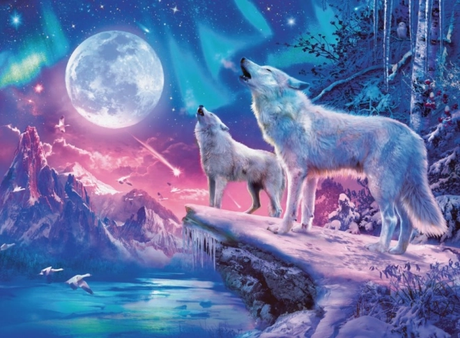 Ravensburger puzzel poollicht 1000 stukjes