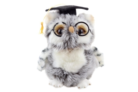 Plush Owl Graduate
