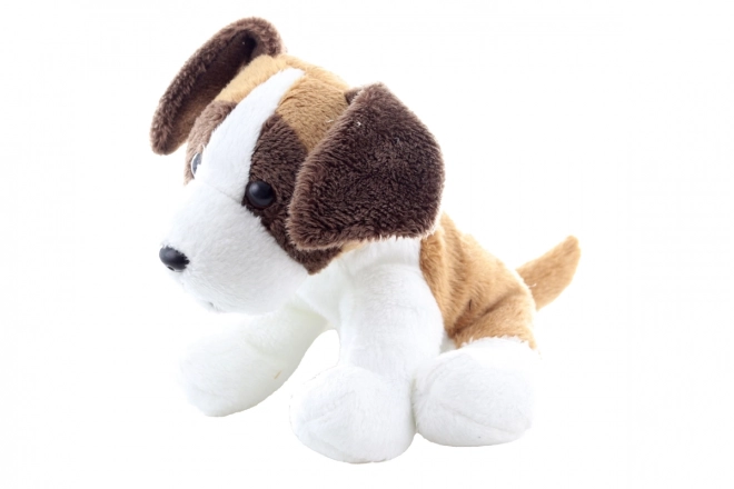 Pluchen hond Sint-Bernard
