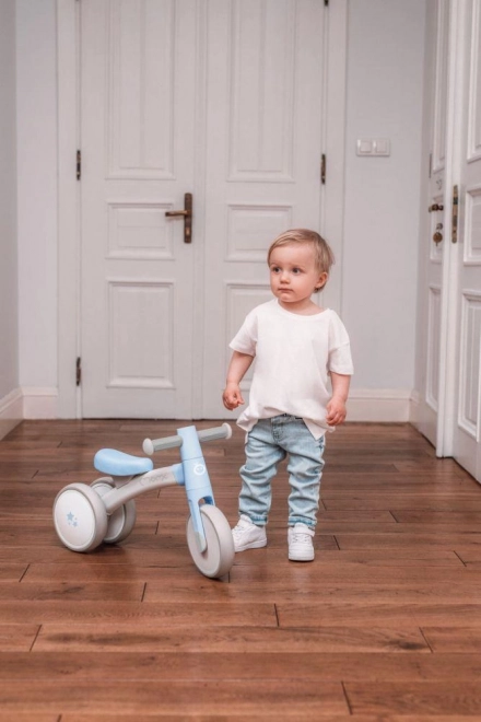 Loopfiets MoMi TEDI mini groen