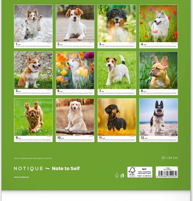 Calendrier mural Chiens 2026