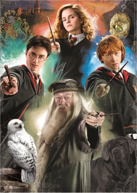EDUCA Puzzel Harry Potter 500 stukjes