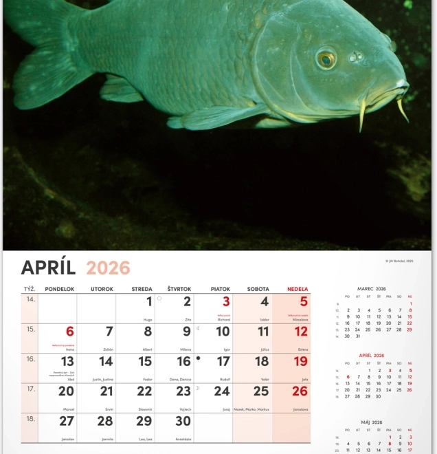 Muurkalender Vissen 2026