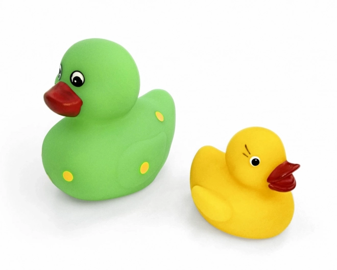 Set grote en kleine piepende eend