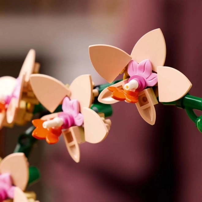Lego Botanicals Orchid Arrangement