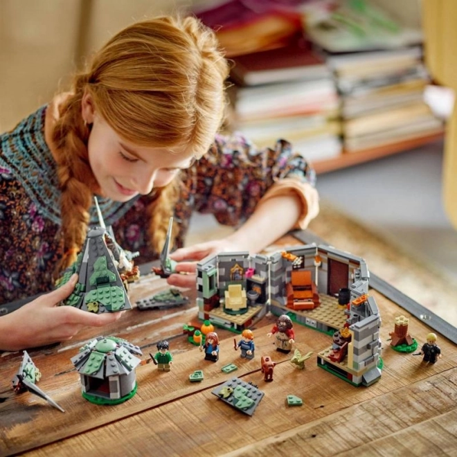 Build, play, and display