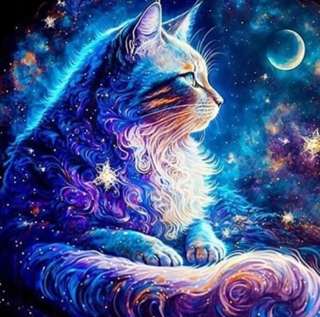 Diamond Painting Space Cat 30x40 cm