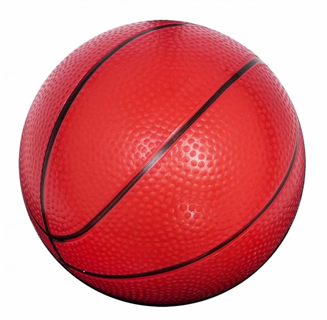 Basketbalbal 205cm + accessoires