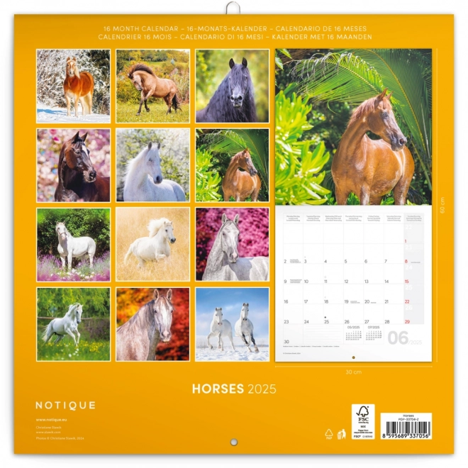 NOTIQUE Notitiekalender Paarden – Christiane Slawik 2025, 30 x 30 cm