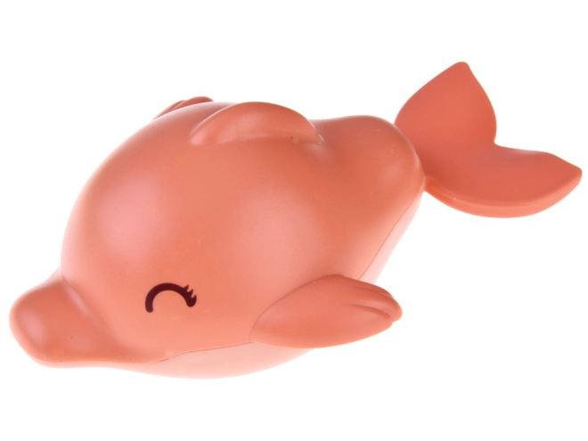 Dolfijntje voor plezierig baden