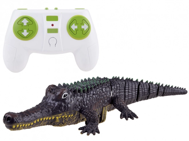 Remote Controlled Crocodile Toy