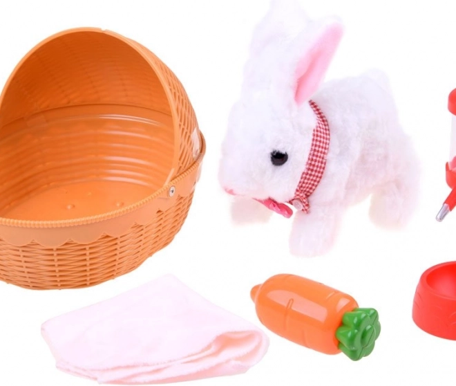Everything for pet care in one set