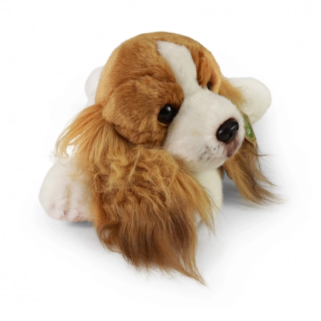 Rappa Pluchen Hond Cocker Spaniel liggend 30 cm MILIEUVRIENDELIJK