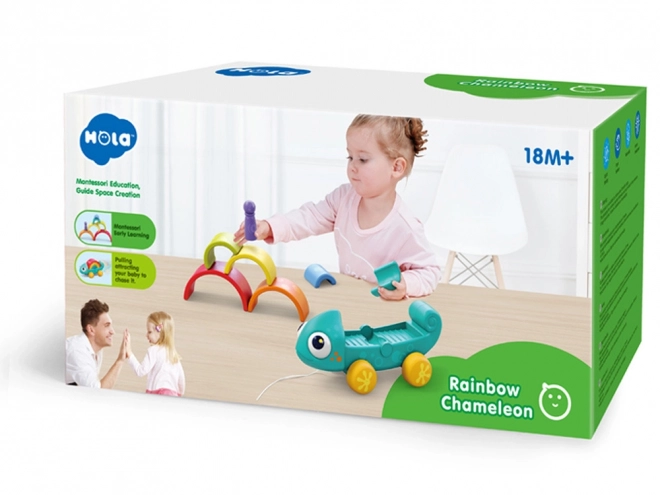 Montessori regenboogkameleon puzzel 18m+