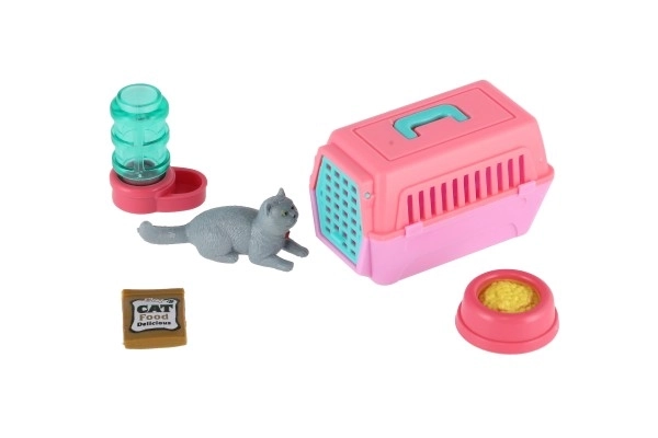 Poes met draagbare doos en accessoires