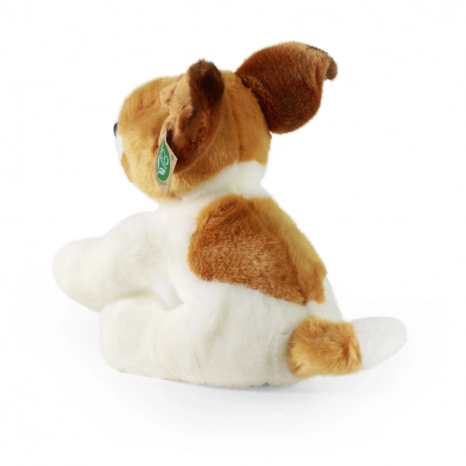 Plush Jack Russell Terrier Sitting 26 cm Eco-friendly