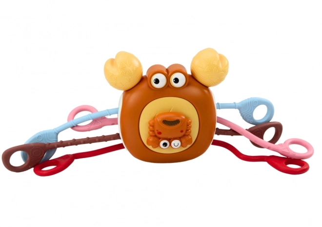Interactieve sensorische krab - educatieve bijtspeeltje voor kinderen