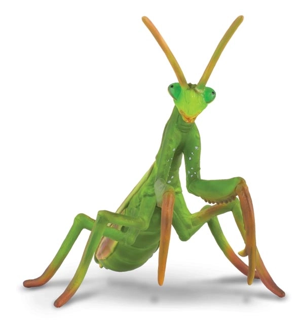 Praying Mantis – COLLECTA Plastic Figurine