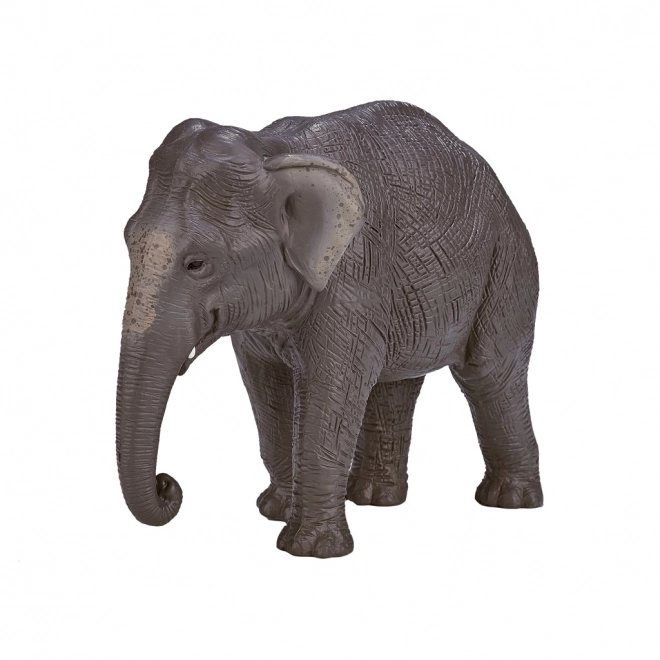 Mojo Indiase olifant
