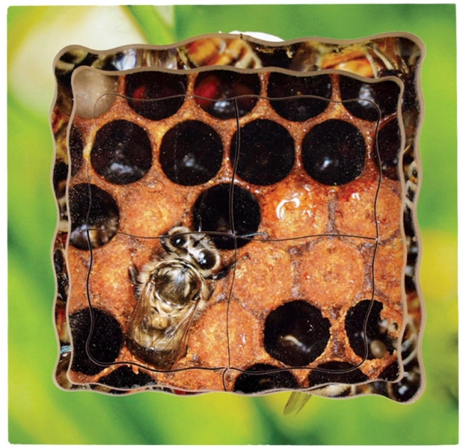 Just Jigsaws 600 Biene – geschichtetes Holzpuzzle