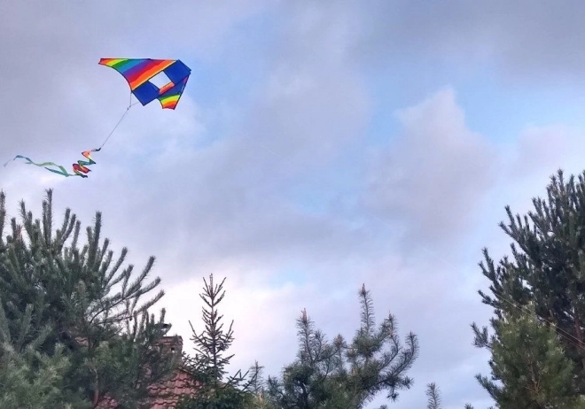 Bunter Drache mit rotierendem Regenbogen