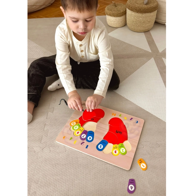 TOOKY TOY Lernpuzzle aus Holz - Zahlen und Farben lernen