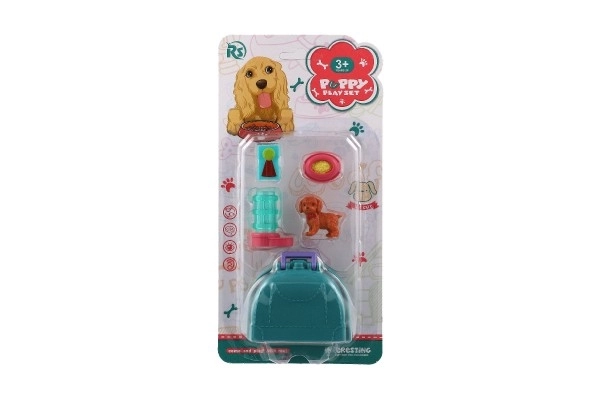 Mazlíček hond met draagbare doos en accessoires
