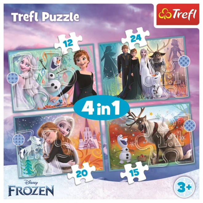 Frozen Puzzel 4v1 (12, 15, 20, 24 stukken) - Prachtige wereld