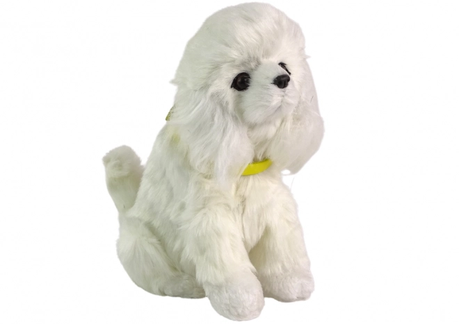 Interactieve hond poedel Pluche hond blaft en beweegt met zijn staart