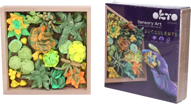 Creatieve modelleerset met vetplanten in houten lijst 21 × 21 cm