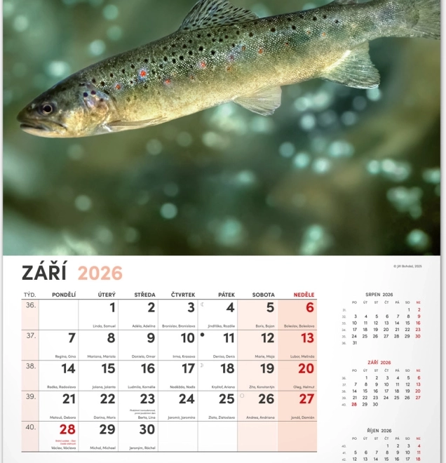 Wandkalender Visserij 2026