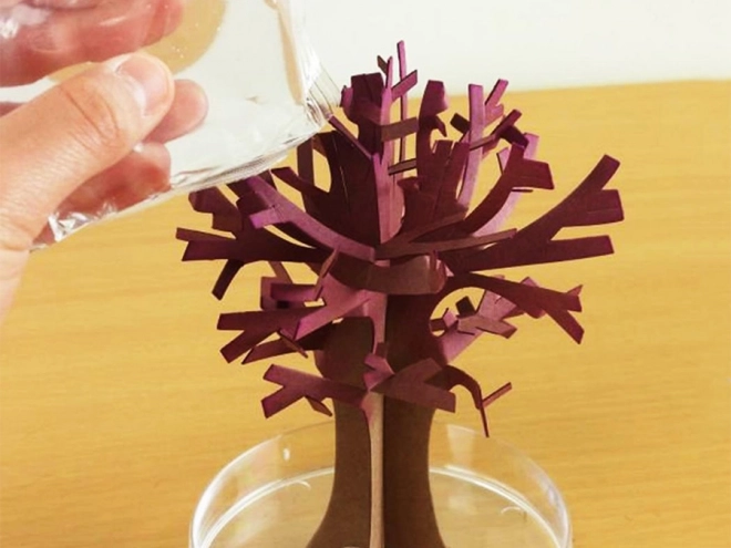 Magische Sakura Boom