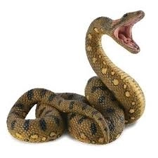 Grote anaconda