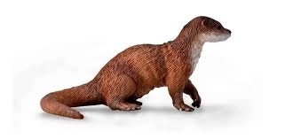 COLLECTA Europese Otter